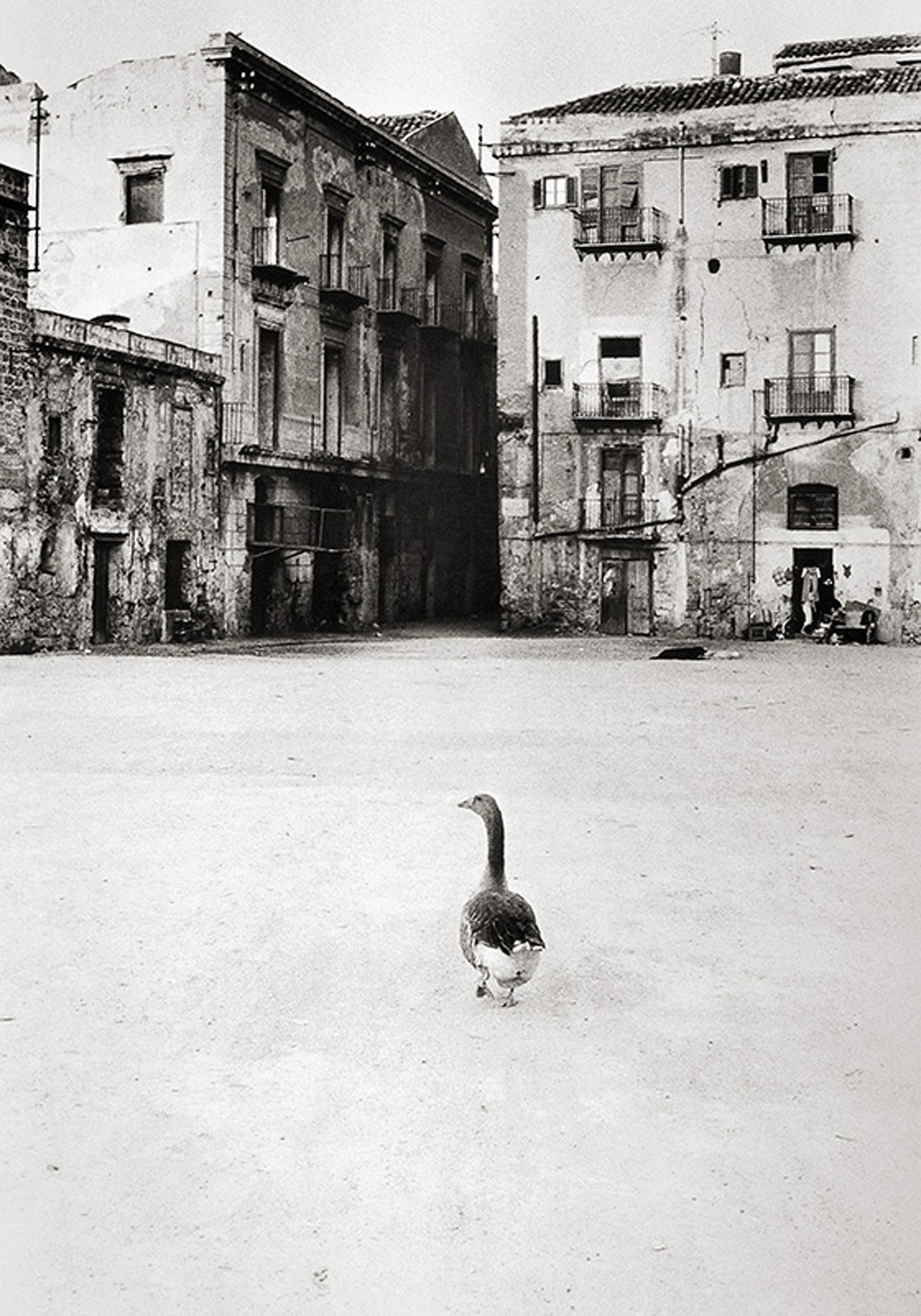 Palermo